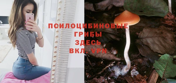 гашиш Арсеньев