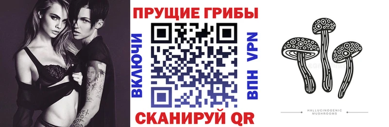 хочу Миасс Псилоцибиновые грибы Magic Shrooms