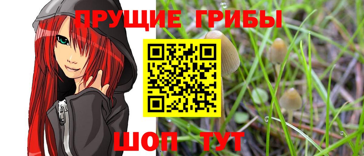 Псилоцибиновые грибы MAGIC MUSHROOMS  Вход с VPN  Миасс  Галлюциногенные грибы ЛСД 