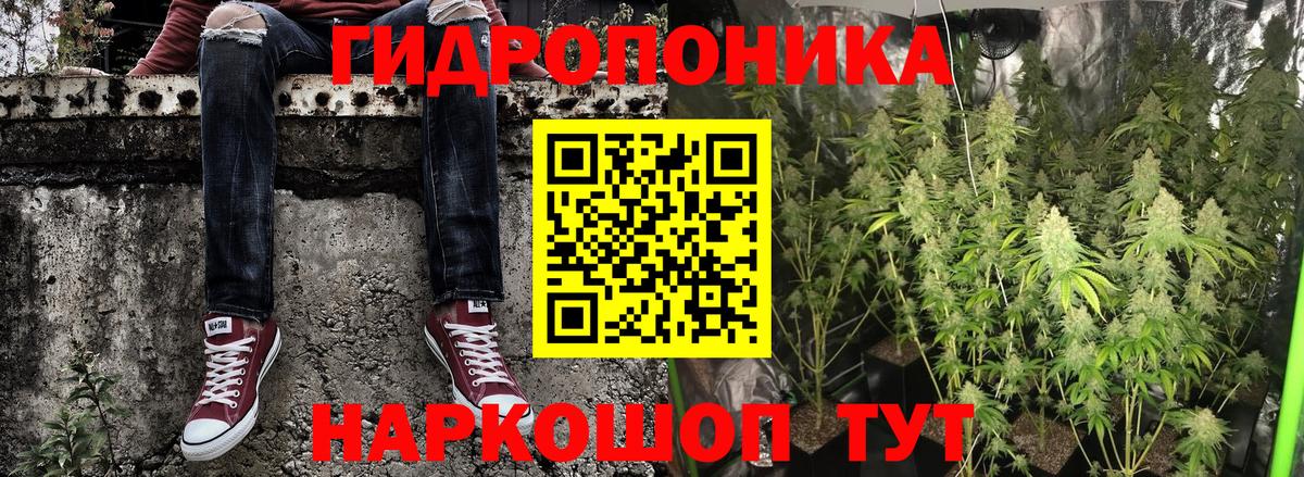 Каннабис семена  Шишки марихуана сатива  Миасс  Вход с VPN 